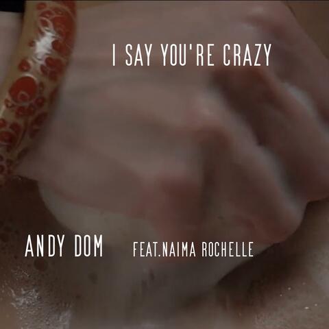 I Say You're Crazy