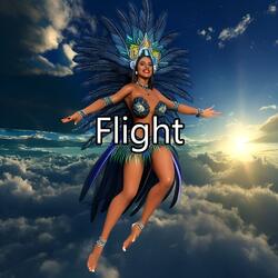 Flight