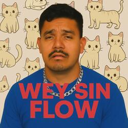 Ando como wey (leak)