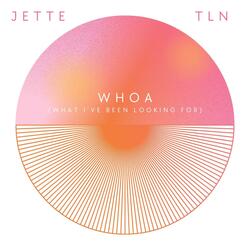 WHOA! (What I've Been Looking For) (feat. TLN)