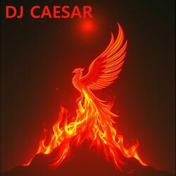 Rise Through the Fire