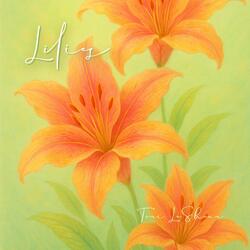 Lilies