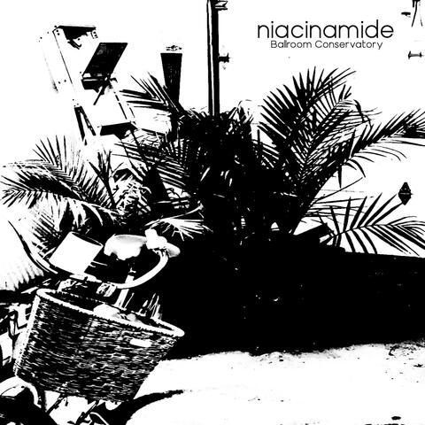 Ballroom Conservatory