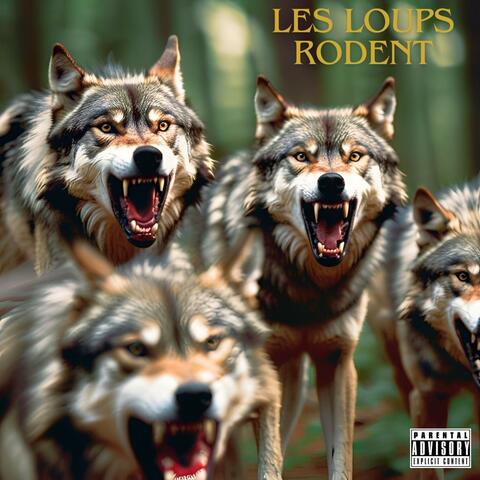 Les loups rôdent