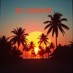 Endless Summer Nights