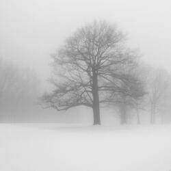 Still miss u ˚ ༘♡ ⋆｡˚ \ vvinter 4eva ♡ #2011 ` winter ghost