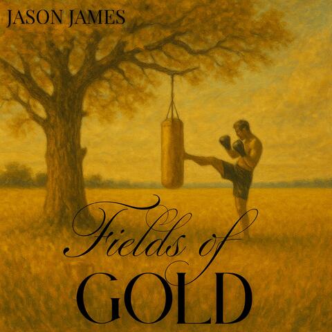Fields of Gold (Piano instrumental)