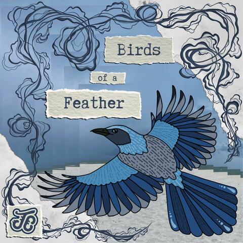 Birds of a Feather