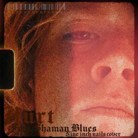 Hurt (feat. Shaman Blues)