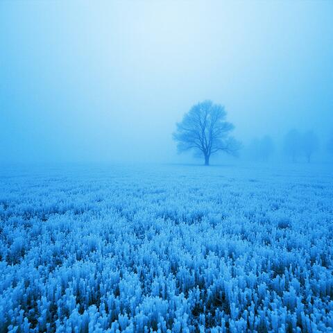 winter techno lines