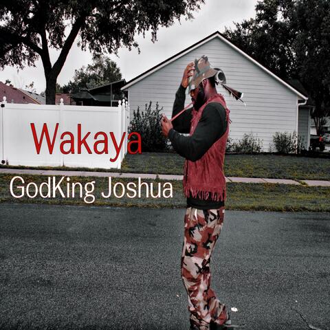 Wakaya