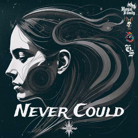 Never Could