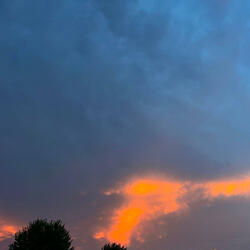 In Life (feat. Incognito Lyricist)