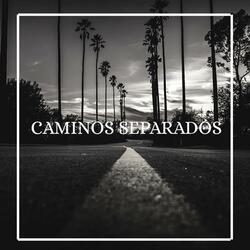 Caminos separados