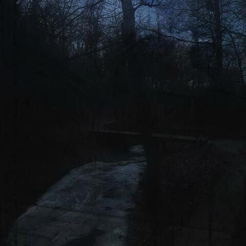 the forest