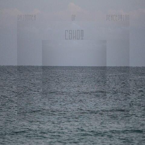 Prisoner Of Perception