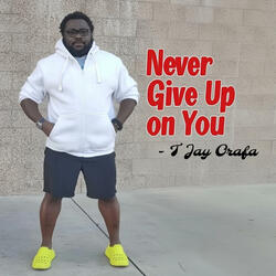 Never Give Up on You