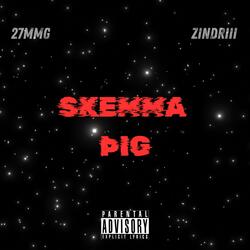 SKEMMA ÞIG (feat. ZINDRIII)