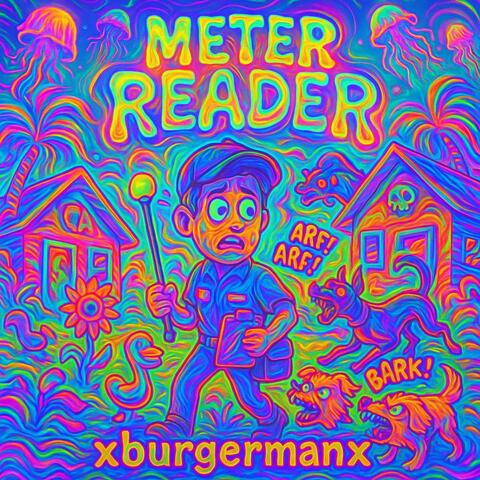 METER READER