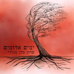 ימים אדומים