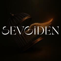 Sevgiden