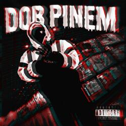 D.O.B PINEM