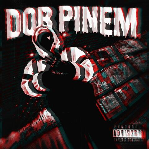 D.O.B PINEM