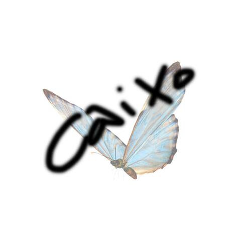 Cai Xo