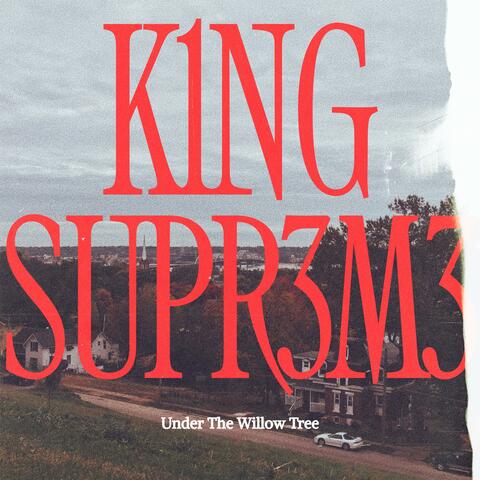 Under the willow tree