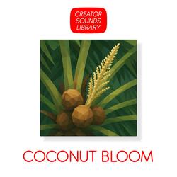 Coconut Bloom