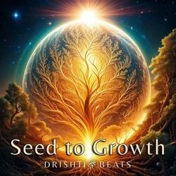 Seed to Growth