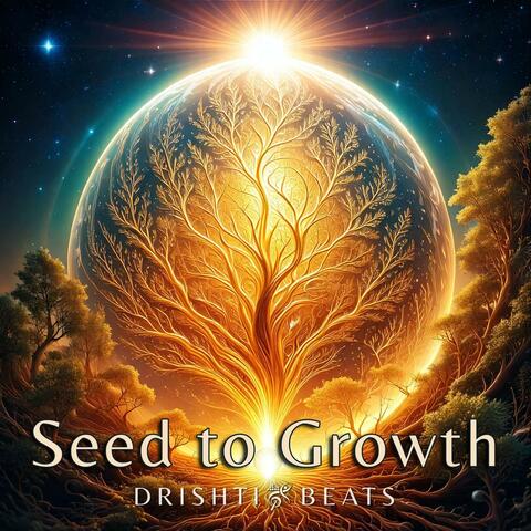Seed to Growth