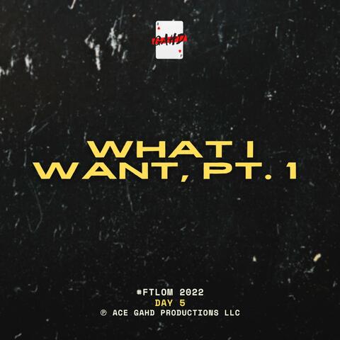 What I Want, Pt. 1