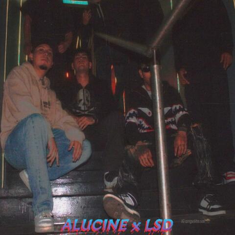 ALUCINE x LSD