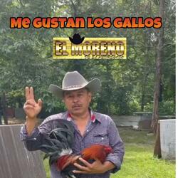 Me gustan los Gallos