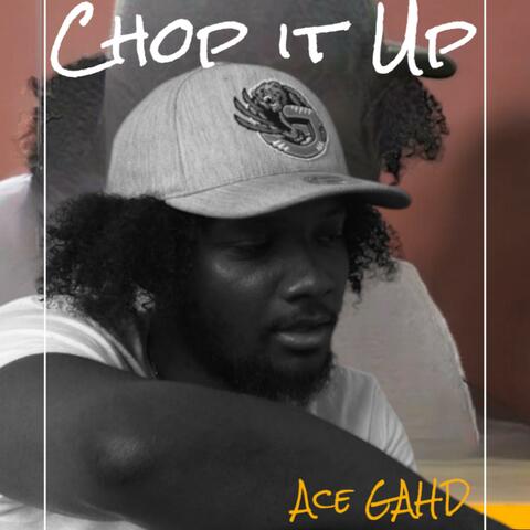 Chop it Up (Radio Edit)