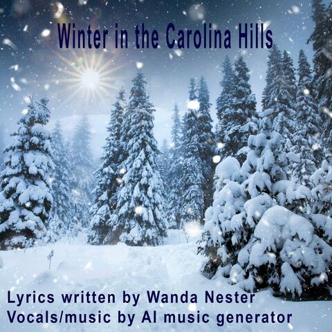 Winter in the Carolina Hills