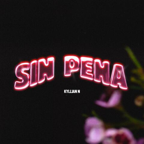 Sin pena (feat. Babyohikari)