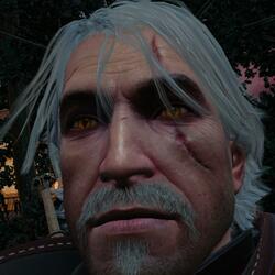 The Fields of Ard Skellig (From Witcher 3 Metal Mix)