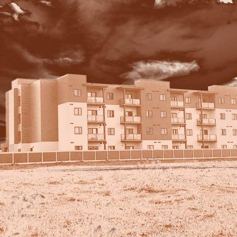 I Left My Head in the Colloseum