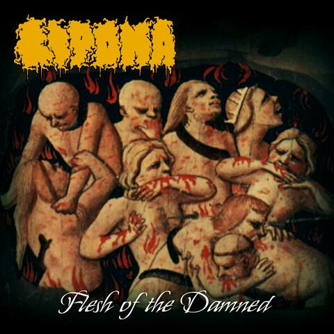 Flesh of the Damned