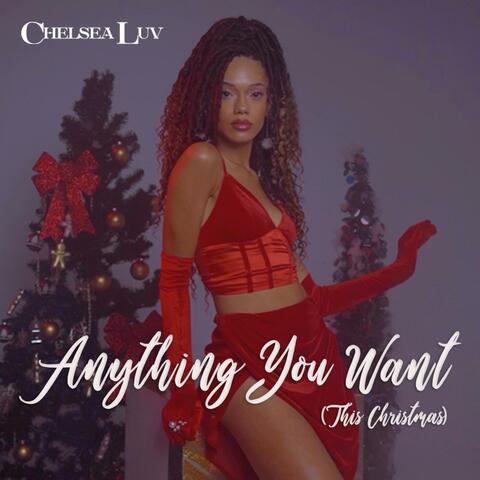 Anything You Want (This Christmas)