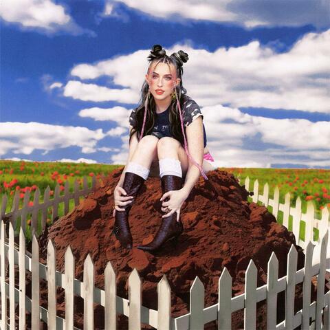 The Dirt