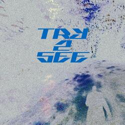 Try 2 See