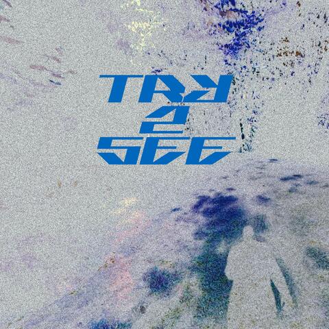 Try 2 See