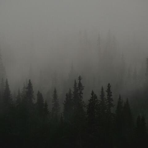 gloomscapes