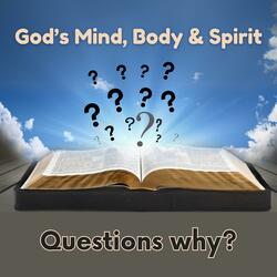 Questions Why?