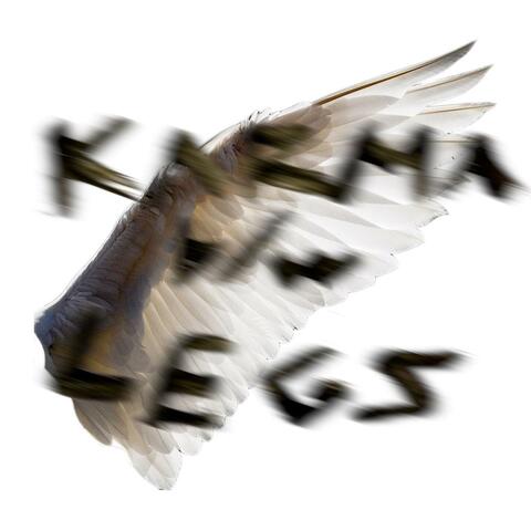 Karma b/w Legs