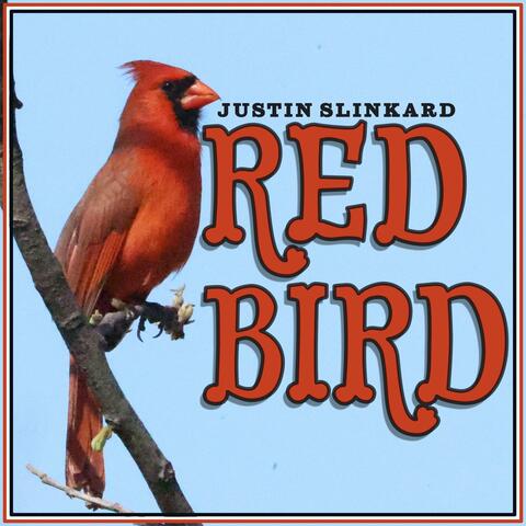 Red Bird