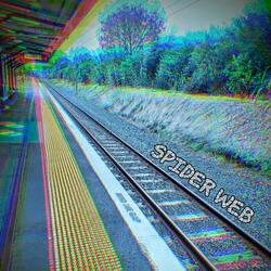 Spider Web